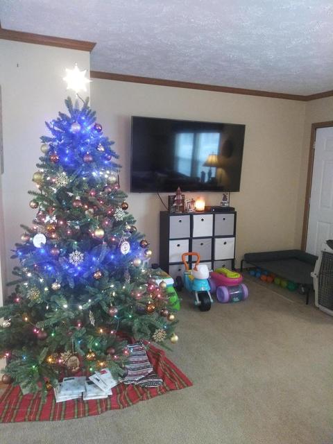 3500 Grange Hall Rd, Wolverine, MI 49799 photo 56
