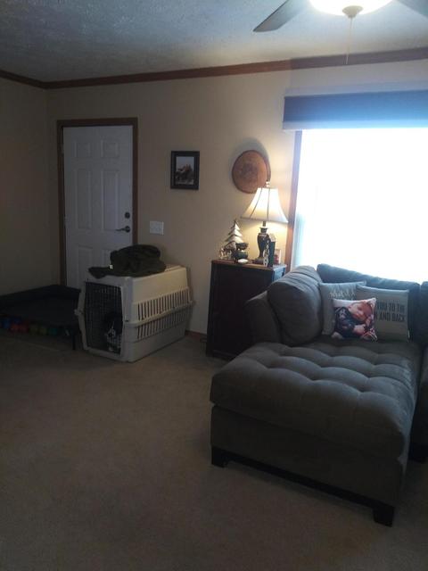 3500 Grange Hall Rd, Wolverine, MI 49799 photo 58