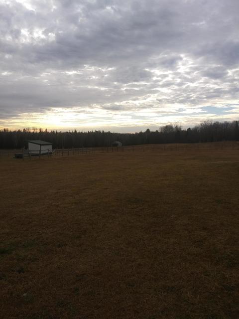 3500 Grange Hall Rd, Wolverine, MI 49799 photo 155