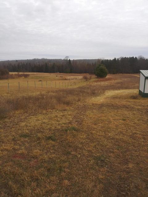 3500 Grange Hall Rd, Wolverine, MI 49799 photo 206