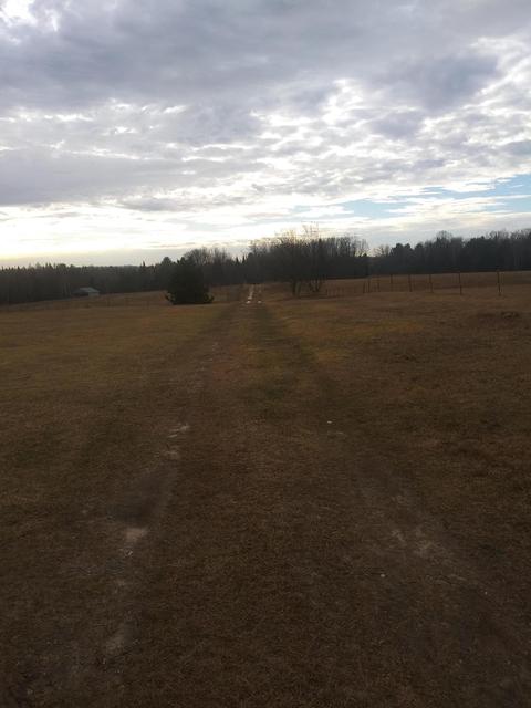 3500 Grange Hall Rd, Wolverine, MI 49799 photo 148