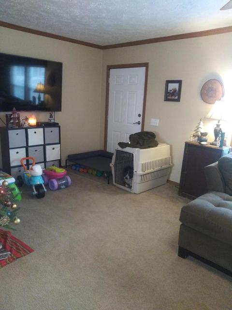 3500 Grange Hall Rd, Wolverine, MI 49799 photo 57
