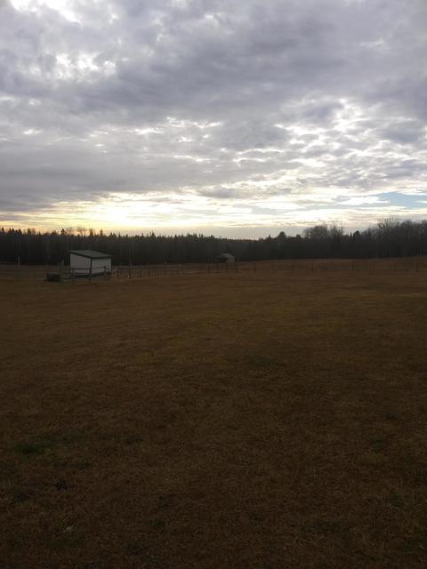 3500 Grange Hall Rd, Wolverine, MI 49799 photo 156