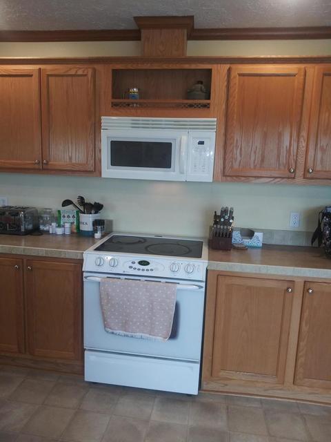 3500 Grange Hall Rd, Wolverine, MI 49799 photo 30