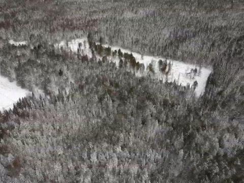 3500 Grange Hall Rd, Wolverine, MI 49799 photo 217