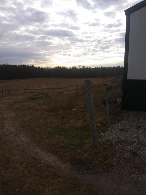 3500 Grange Hall Rd, Wolverine, MI 49799 photo 209