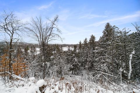 6344 Rondo Rd, Wolverine, MI 49799 photo 10