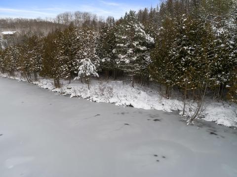 6344 Rondo Rd, Wolverine, MI 49799 photo 11