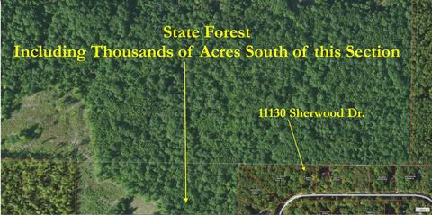 11130 Sherwood Drive Frederic Mi 49733 Dr, Frederic, MI 49733 photo 2