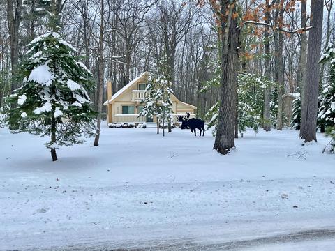 11130 Sherwood Drive Frederic Mi 49733 Dr, Frederic, MI 49733 photo 21