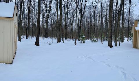 11130 Sherwood Drive Frederic Mi 49733 Dr, Frederic, MI 49733 photo 33