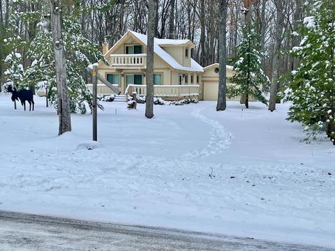 11130 Sherwood Drive Frederic Mi 49733 Dr, Frederic, MI 49733 photo 22