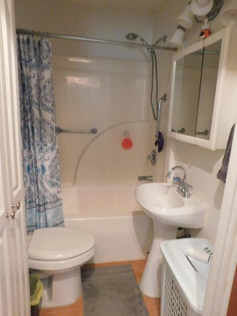 244 Davis Rd, Mio, MI 48647 photo 9