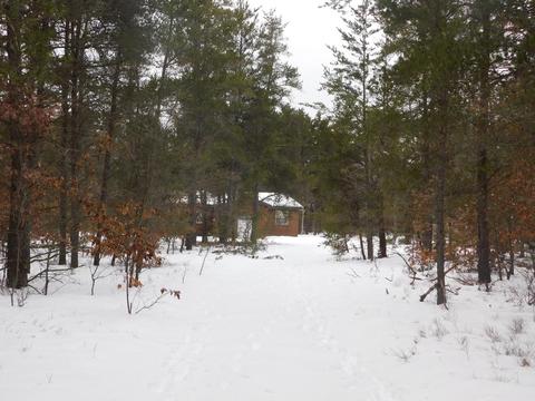 2340 Monroe St, Fairview, MI 48621 photo 14