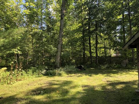 101 W Hemlock, Spruce, MI 48762 photo 38
