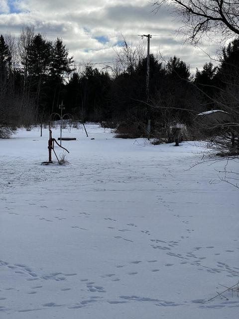 1428 E Spruce Rd, Spruce, MI 48762 photo 3