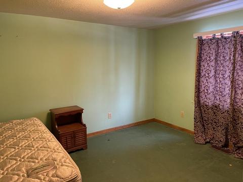 1428 E Spruce Rd, Spruce, MI 48762 photo 10