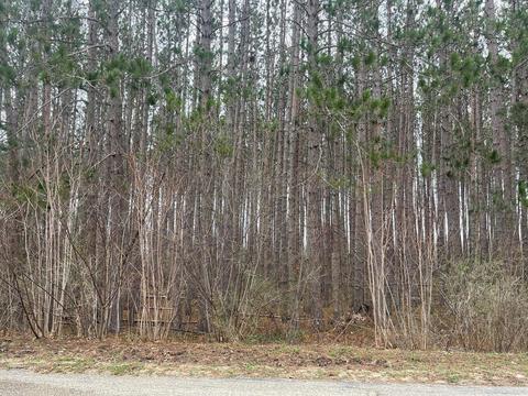 44 North Pinecrest Drive #LOT 44, Gaylord, MI 49735