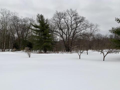 4428 N Abbe Rd, Comins, MI 48619 photo 33