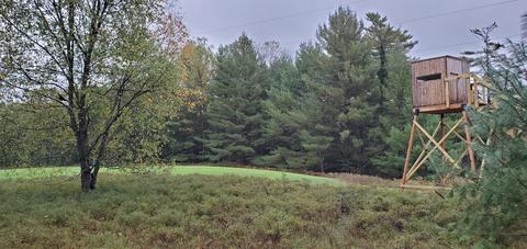 4428 N Abbe Rd, Comins, MI 48619 photo 29