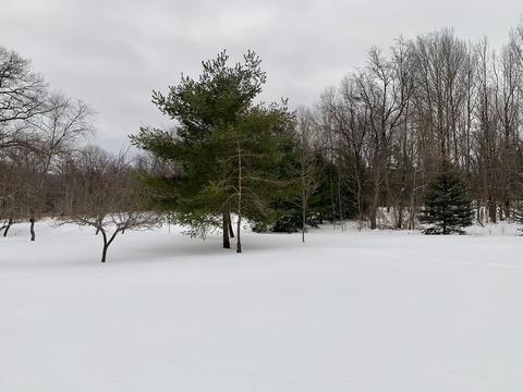 4428 N Abbe Rd, Comins, MI 48619 photo 34