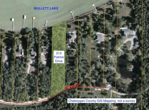 212 Patrick Drive Indian River Mi 49749 Dr, Indian River, MI 49749 photo 1