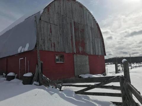 568 Swede Road Spruce Mi 48762 Rd, Spruce, MI 48762 photo 7