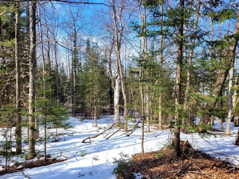 15967 Lakeview Dr, Wolverine, MI 49799 photo 6