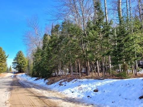 15967 Lakeview Dr, Wolverine, MI 49799 photo 1