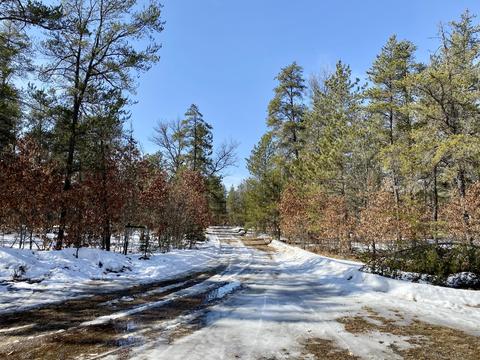 4475 S Stephan Bridge Rd, Grayling, MI 49738 photo 3