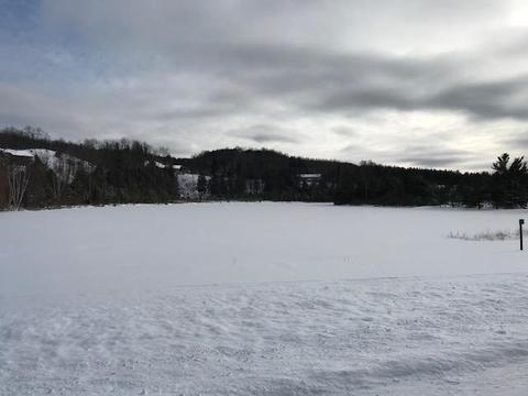 9600 Meyers Road Wolverine Mi 49799 Rd, Wolverine, MI 49799 photo 6