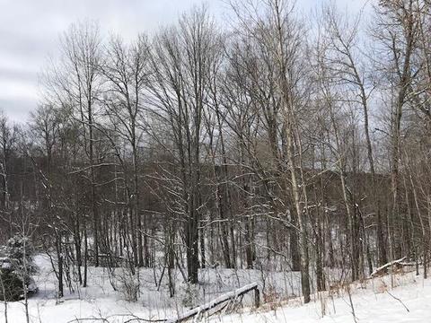 9600 Meyers Road Wolverine Mi 49799 Rd, Wolverine, MI 49799 photo 4