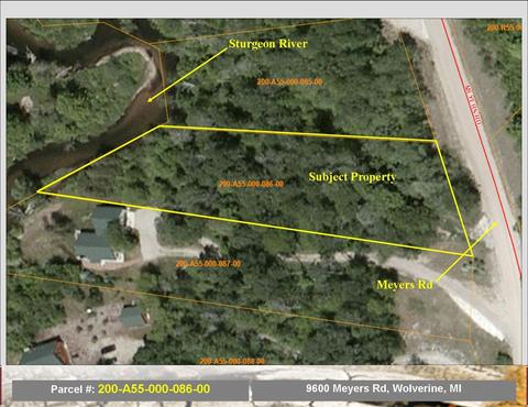 9600 Meyers Road Wolverine Mi 49799 Rd, Wolverine, MI 49799 photo 1