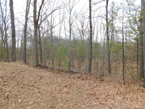 6980 Stephan Bridge Rd, Roscommon, MI 48653 photo 30