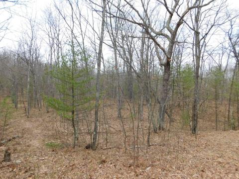 6980 Stephan Bridge Rd, Roscommon, MI 48653 photo 31
