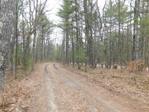 6980 Stephan Bridge Rd, Roscommon, MI 48653 photo 40