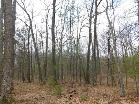 6980 Stephan Bridge Rd, Roscommon, MI 48653 photo 33