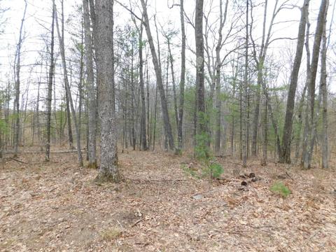 6980 Stephan Bridge Rd, Roscommon, MI 48653 photo 32