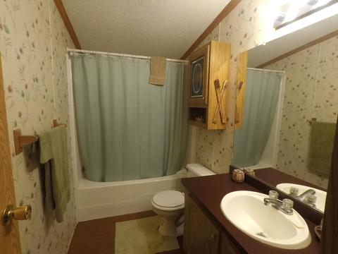 11116 Sherwood Dr, Frederic, MI 49733 photo 16