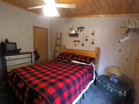 11116 Sherwood Dr, Frederic, MI 49733 photo 13