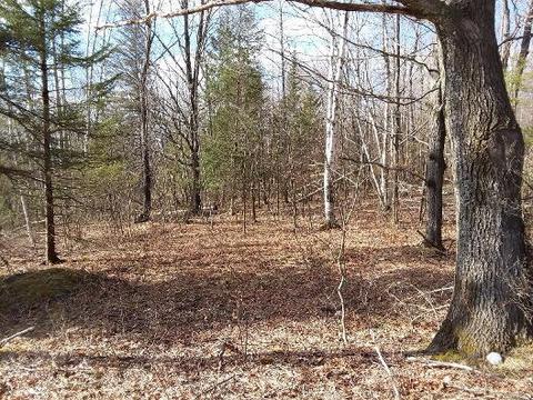 5395 N Abbe Rd, Comins, MI 48619 photo 8