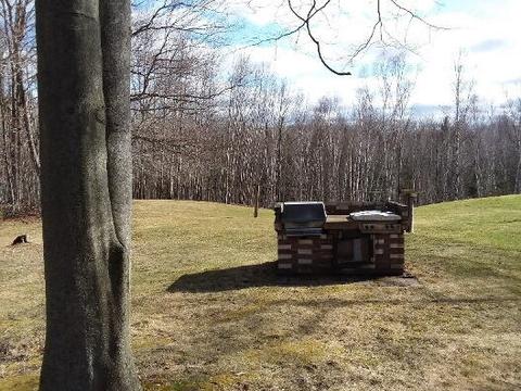 5395 N Abbe Rd, Comins, MI 48619 photo 5