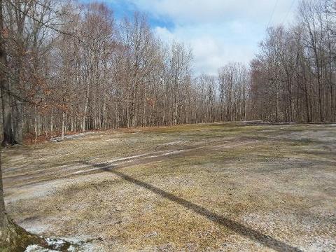 5395 N Abbe Rd, Comins, MI 48619 photo 9