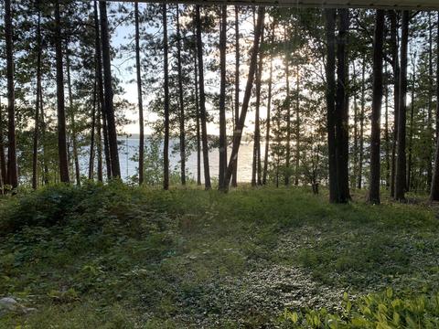 5159 Pine Grove Dr, Spruce, MI 48762 photo 18