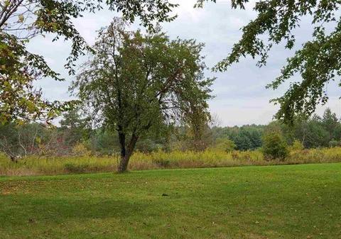 5099 E Michigan 55, Hale, MI 48739 photo 32