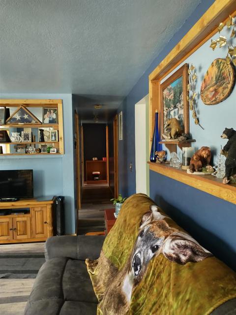 6647 Nottingham Dr, Grayling, MI 49738 photo 8
