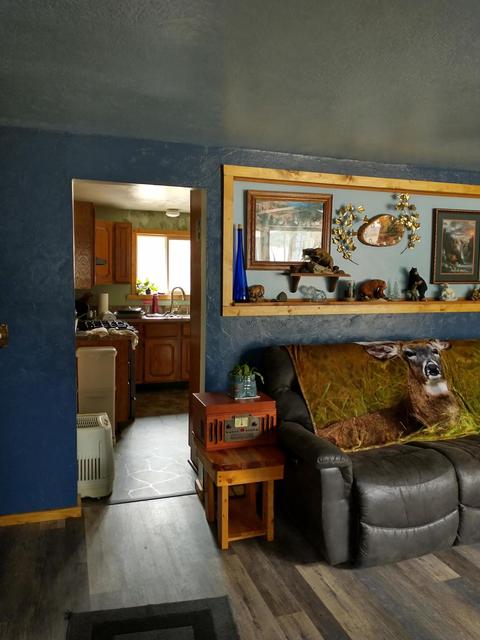 6647 Nottingham Dr, Grayling, MI 49738 photo 7