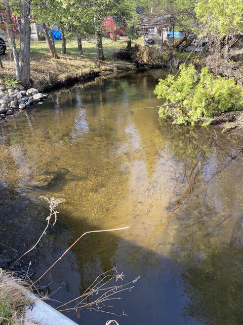 9228 Lewis Road Vanderbilt Mi 49795, Vanderbilt, MI 49795 photo 9