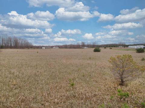 3390 Webb Road Wolverine Mi 49799 Rd, Wolverine, MI 49799 photo 7