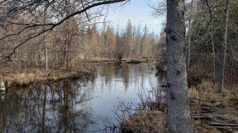 6557 Hiawatha Drive Frederic Mi 49733 Dr, Frederic, MI 49733 photo 9